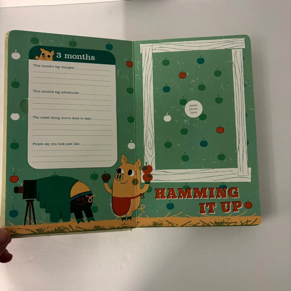 Baby's First Year Photo Gallery Memory Book Album w/ 12 Monthly Milestone Cards